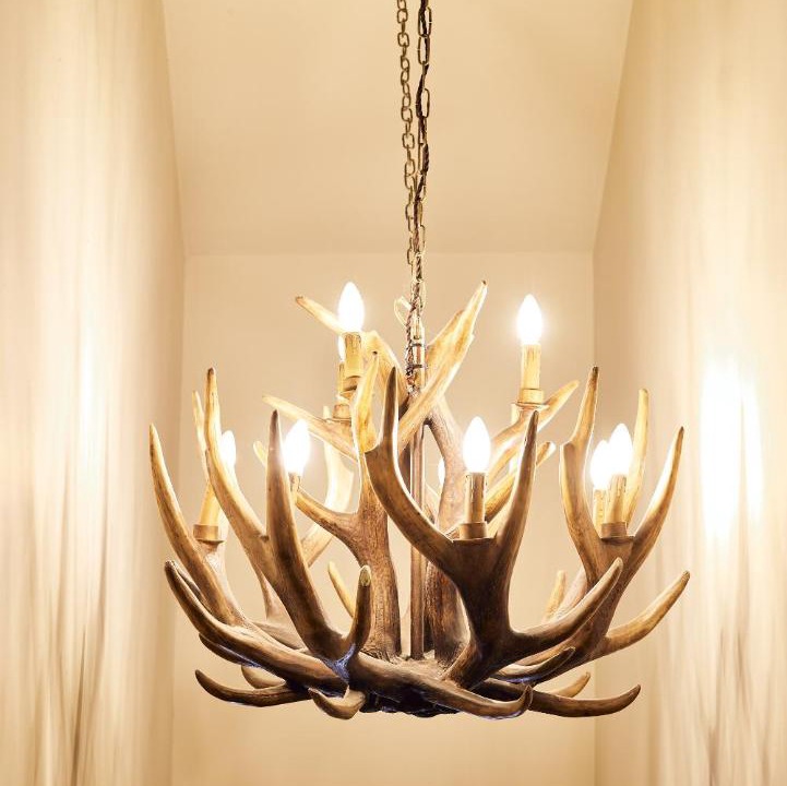 Photo of Others in Fence