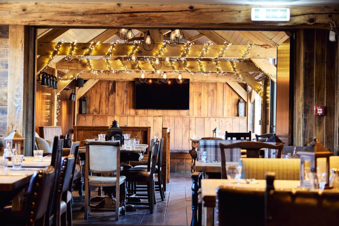 Photo of Others in Fence