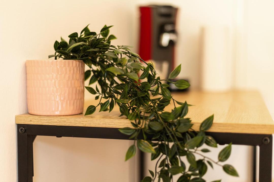 Photo of Others in Knutange