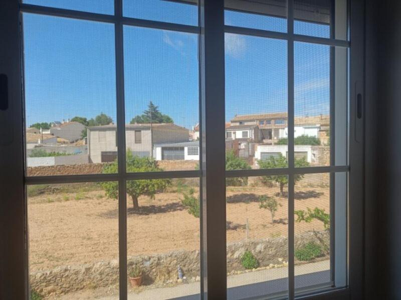 Photo of Others in Requena