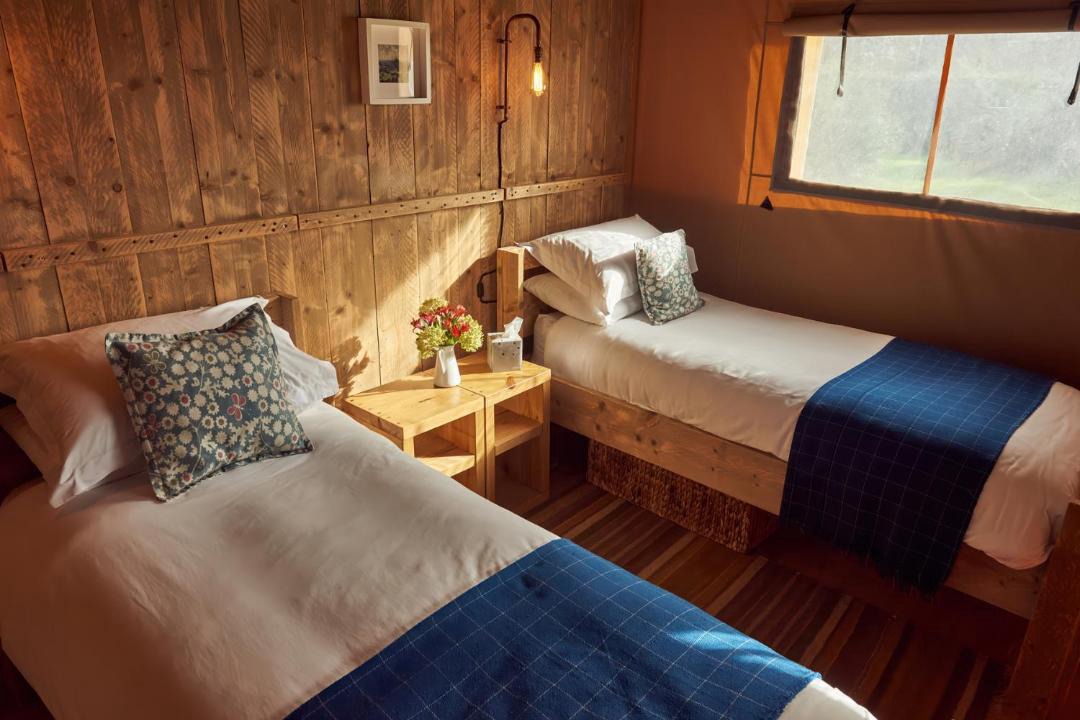 Photo of Others in Glastonbury