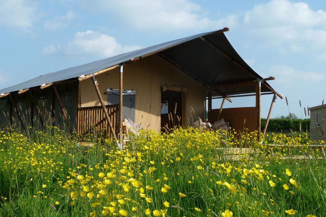 Photo of Others in Glastonbury