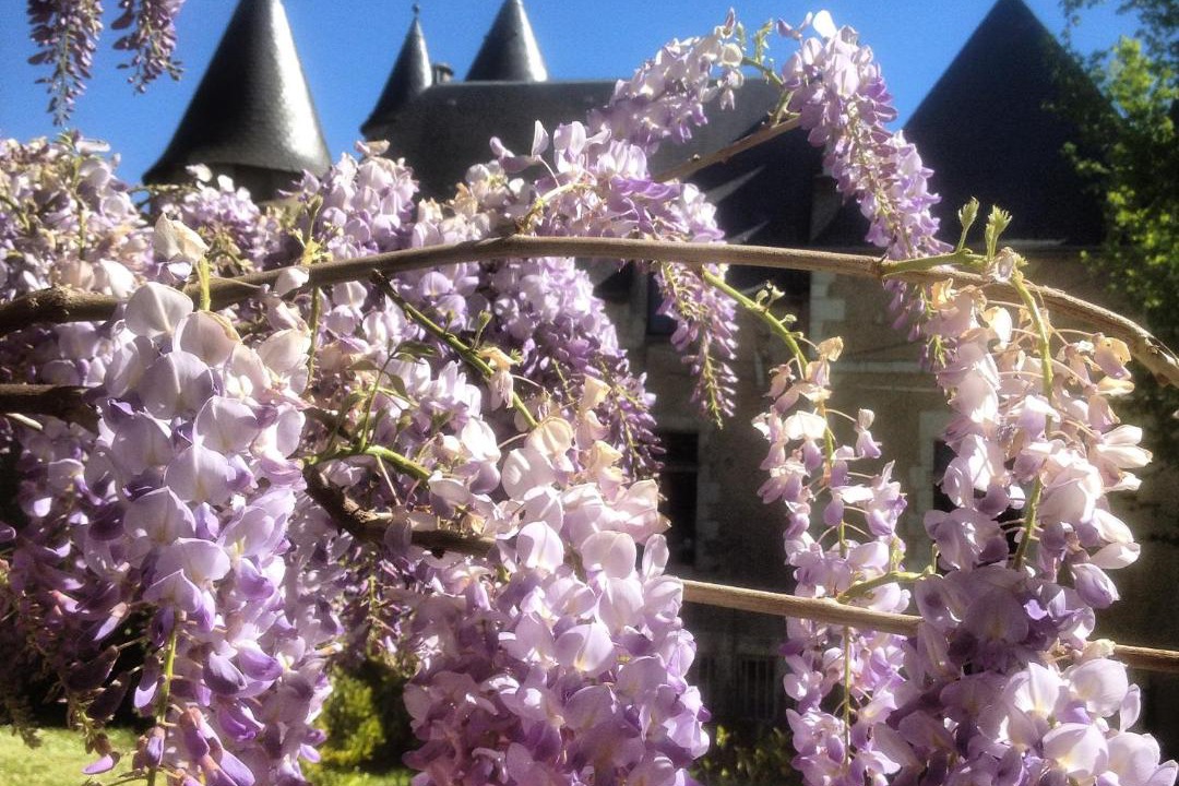 Photo of Buildings in Saint-Gaultier