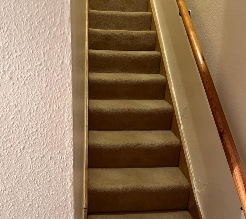 Photo of Others in Forest of Dean