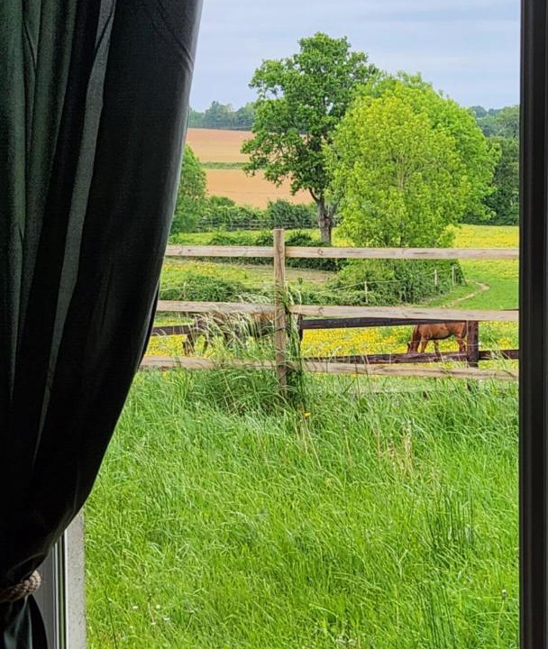 Photo of Others in Saint-Aubin-de-Locquenay