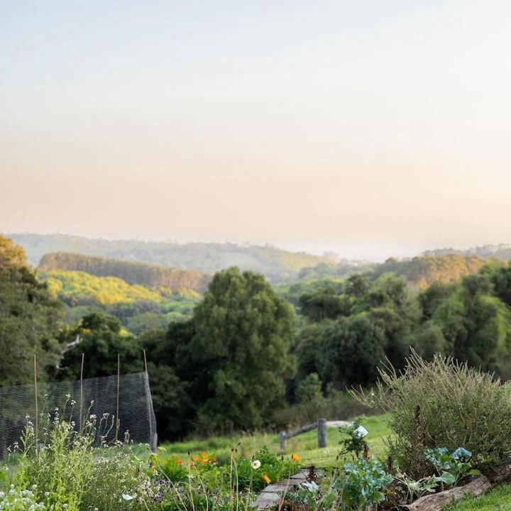 Photo of Others in Goonengerry