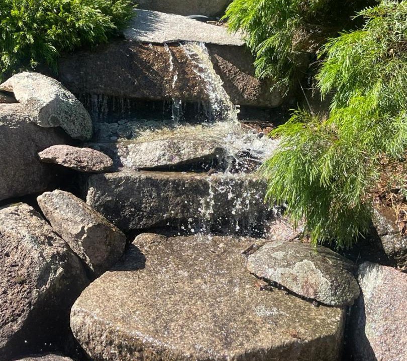 Photo of Others in Whittlesea