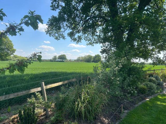 Photo of Others in Albrighton