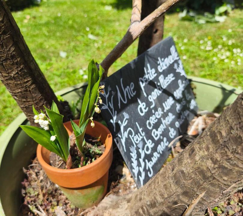 Photo of Outdoor in Nolay