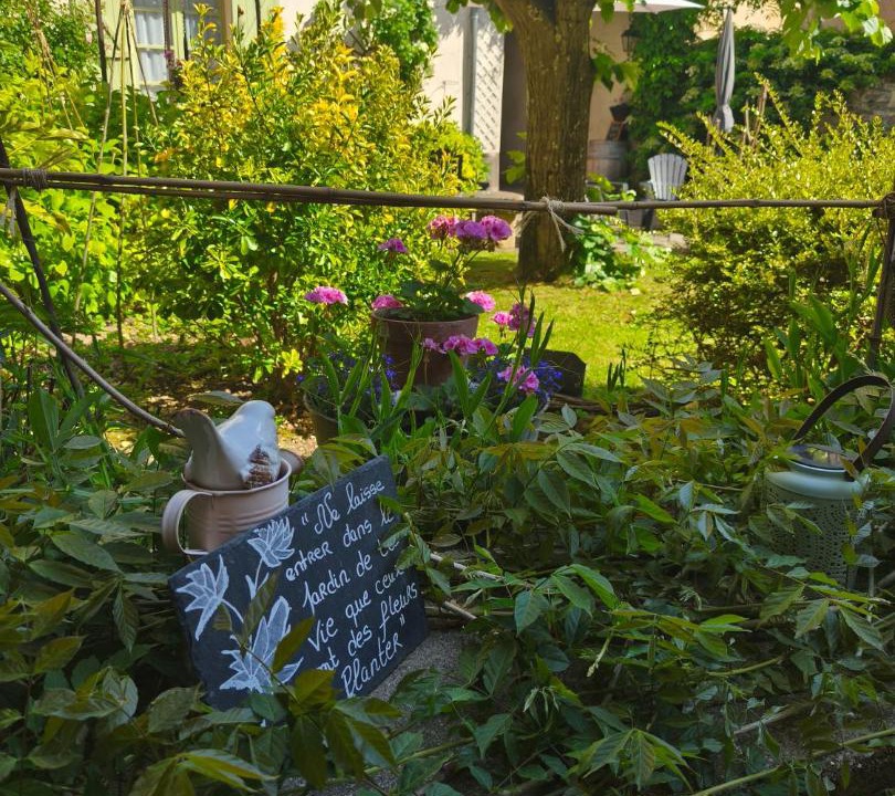 Photo of Others in Nolay