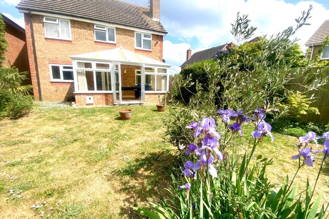 Photo of Others in Ely