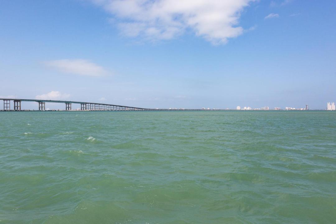 Photo of Others in South Padre Island
