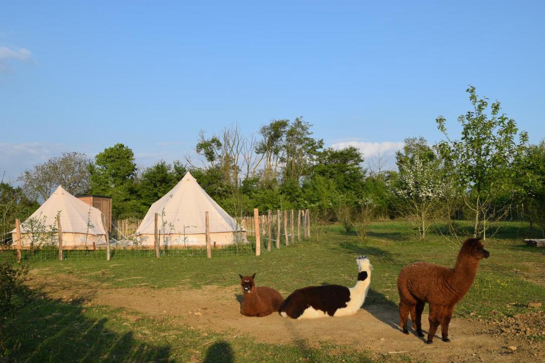 Photo of Others in Tuffalun