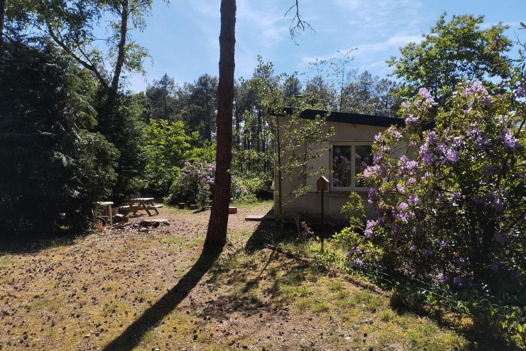 Photo of Others in Oize