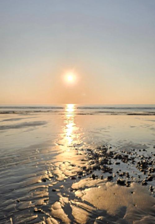 Photo of Others in Cayeux-sur-Mer