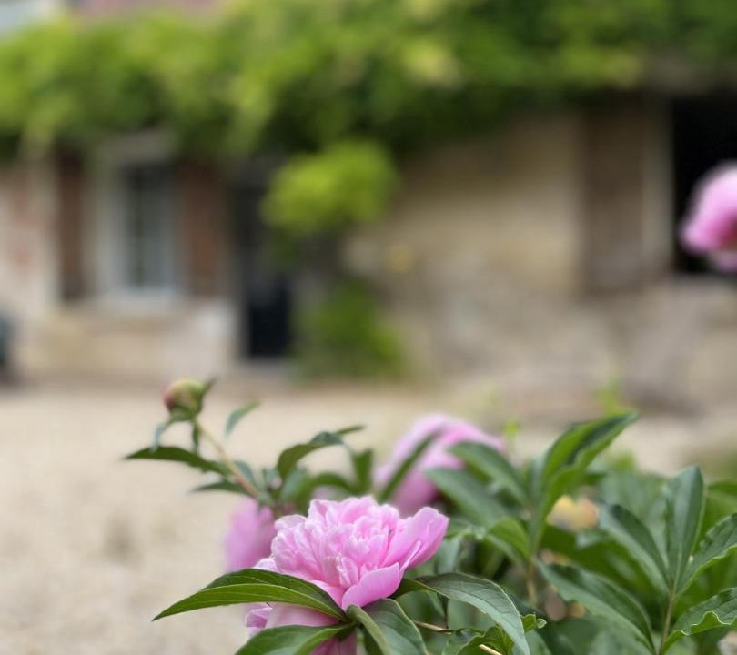 Photo of Others in Francueil