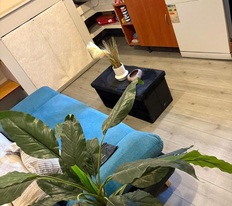 Photo of Others in Graulhet