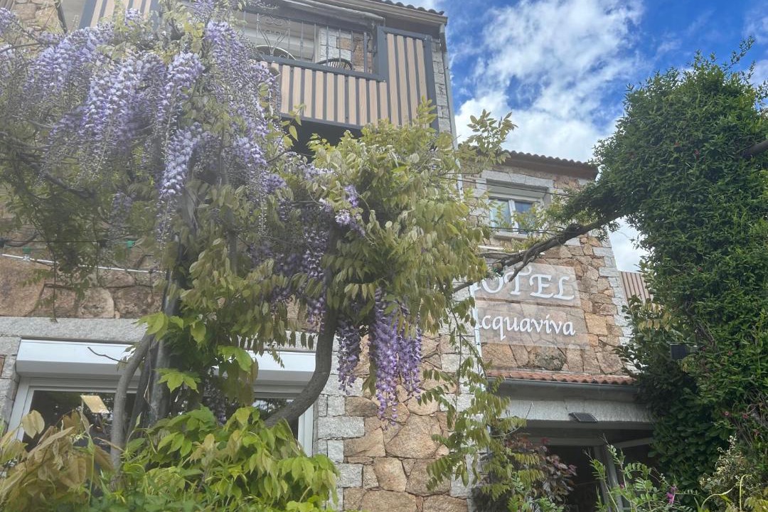 Photo of Others in Calacuccia