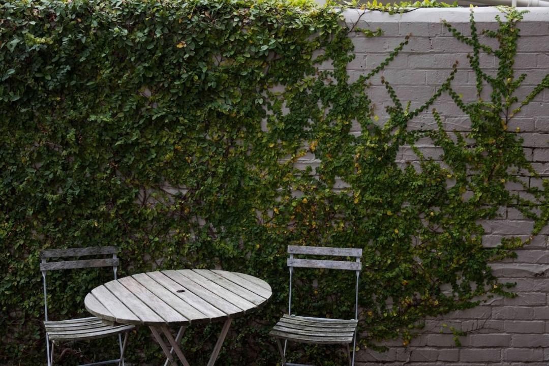 Photo of Others in Te Aro