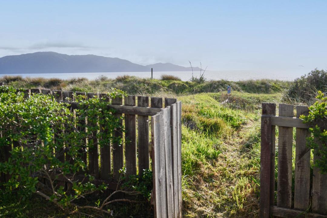 Photo of Others in Waikanae