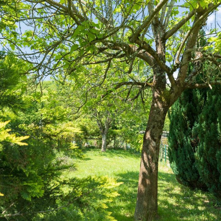 Photo of Others in Orbigny
