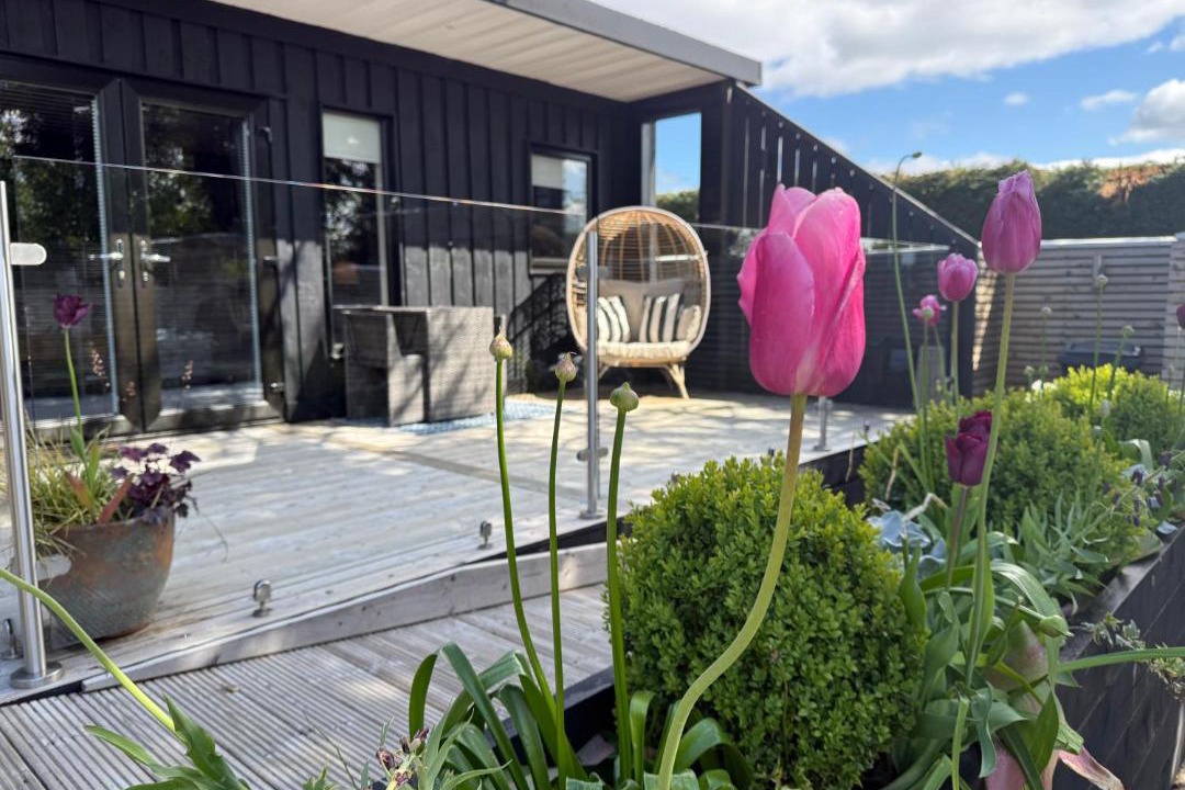 Photo of Others in Alexandria