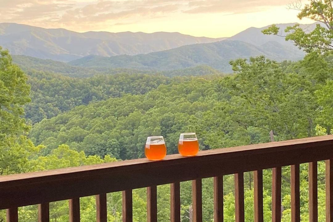 Photo of Patio Balcony in Townsend