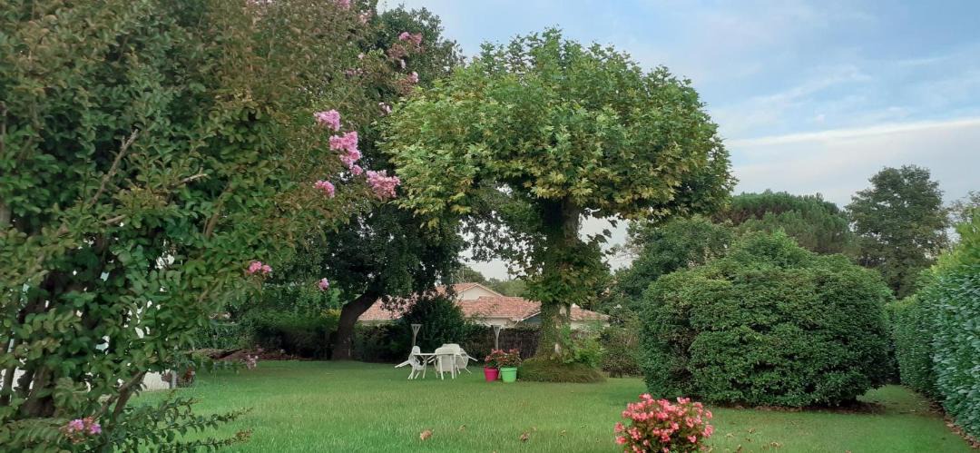 Photo of Others in Pissos