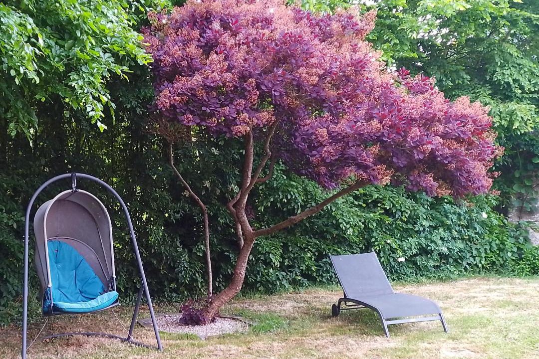 Photo of Outdoor in La Mancelliere-sur-Vire