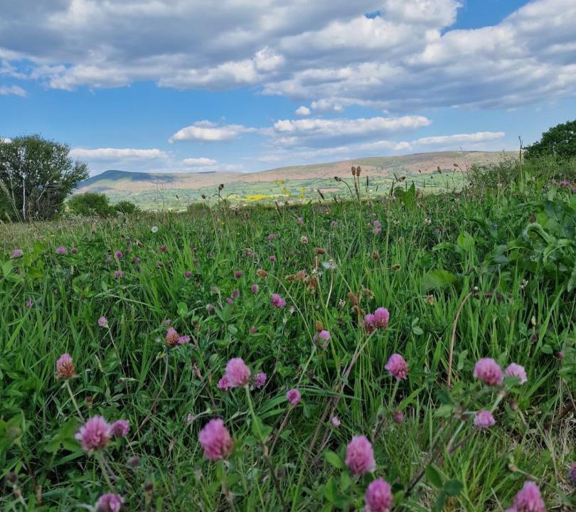 Photo of Others in Llanfihangel Tal-y-llyn