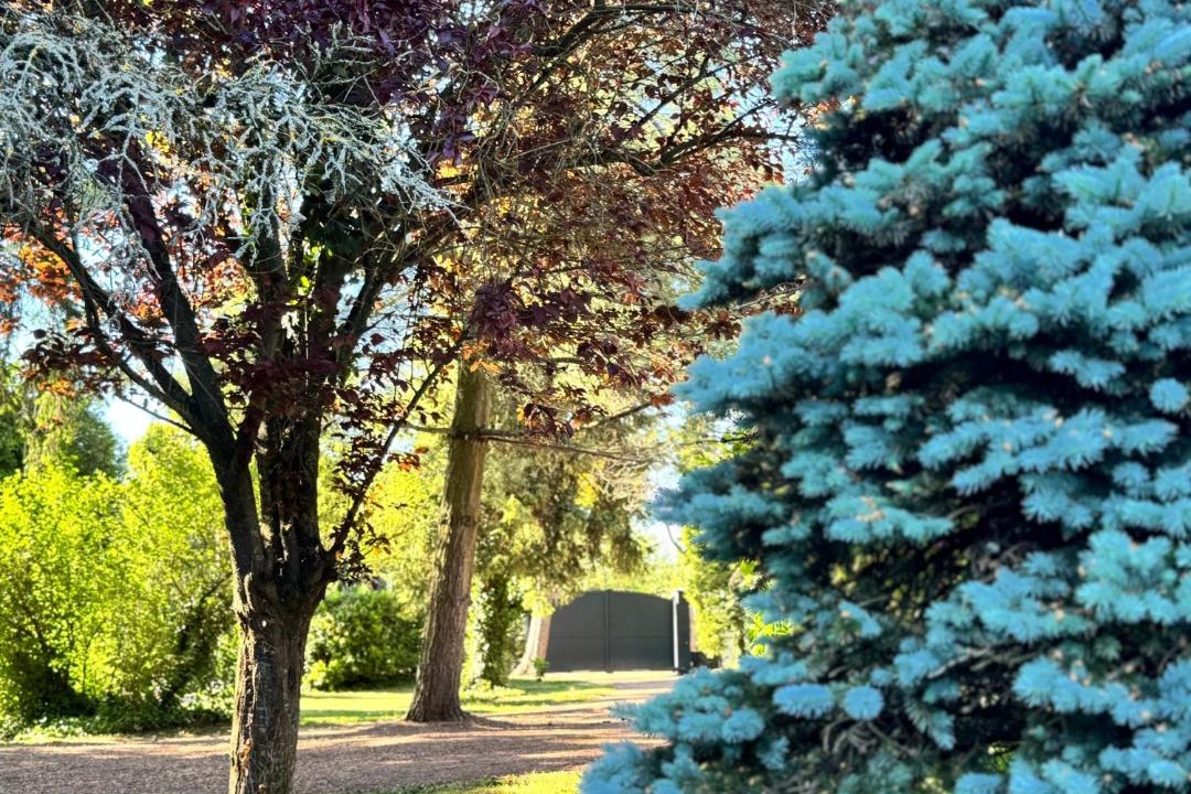 Photo of Outdoor in Merville