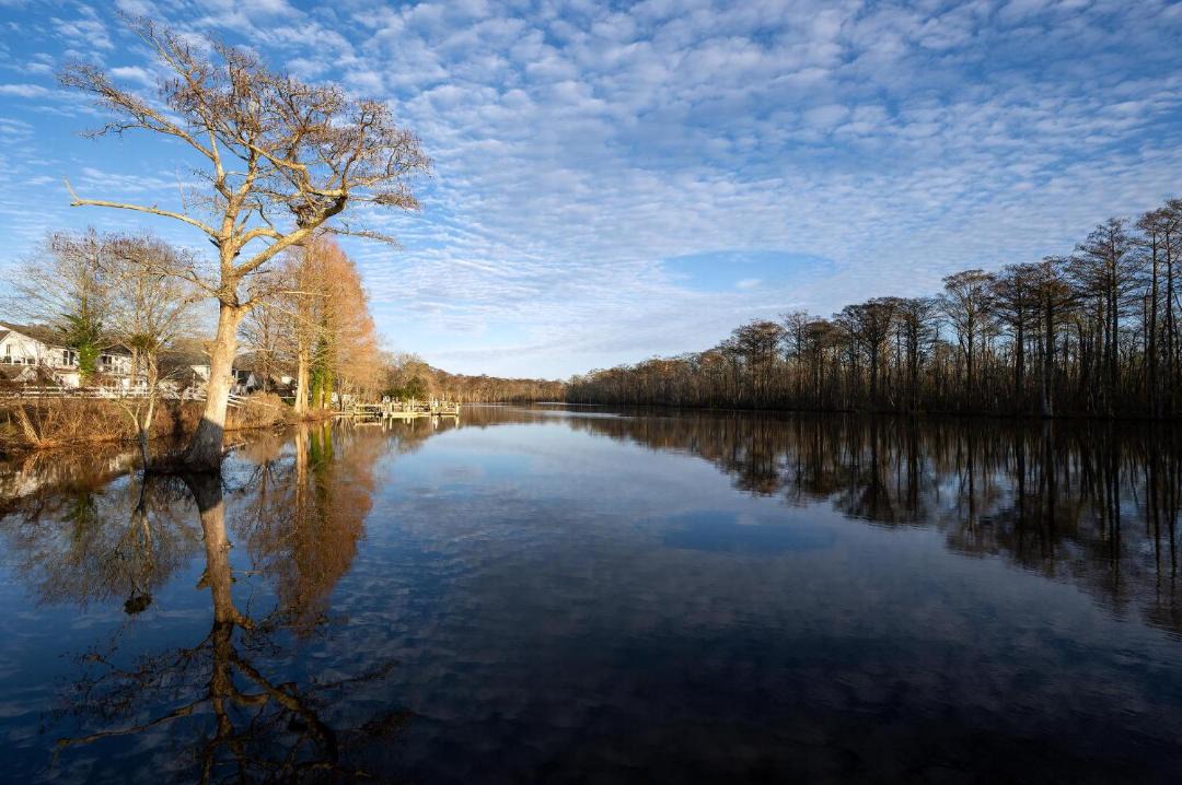 Photo of Others in Pocomoke City