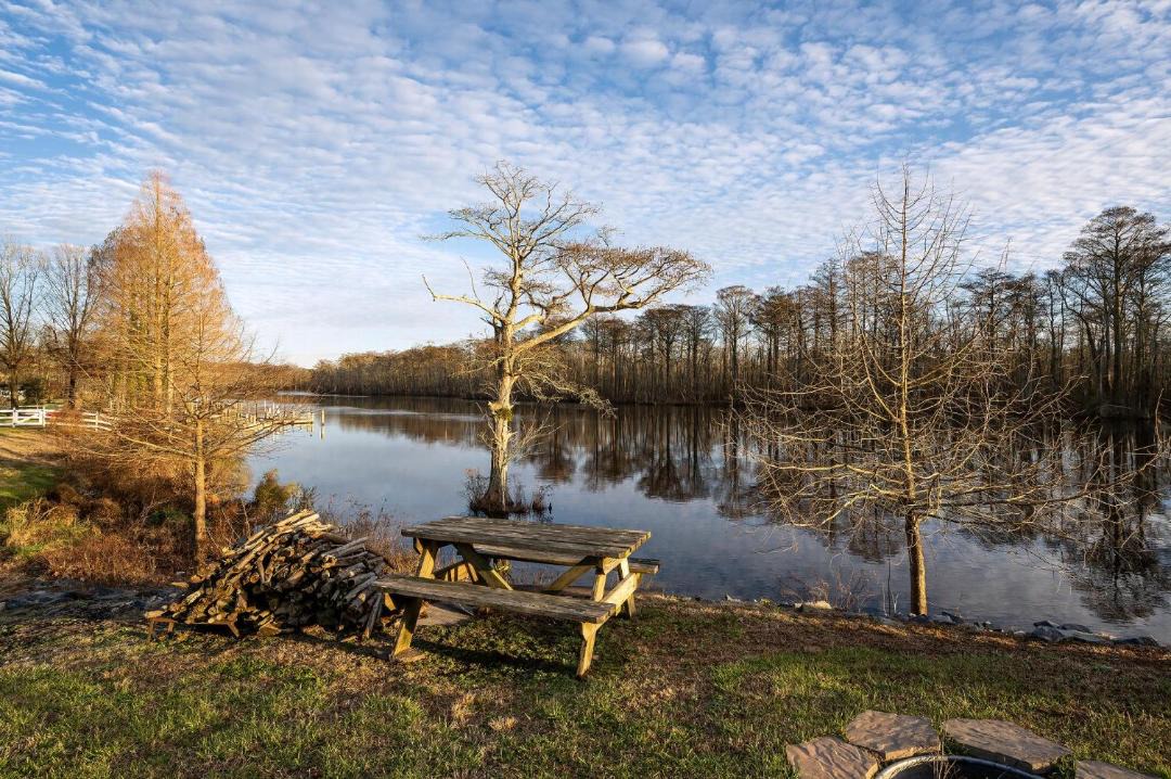 Photo of Others in Pocomoke City