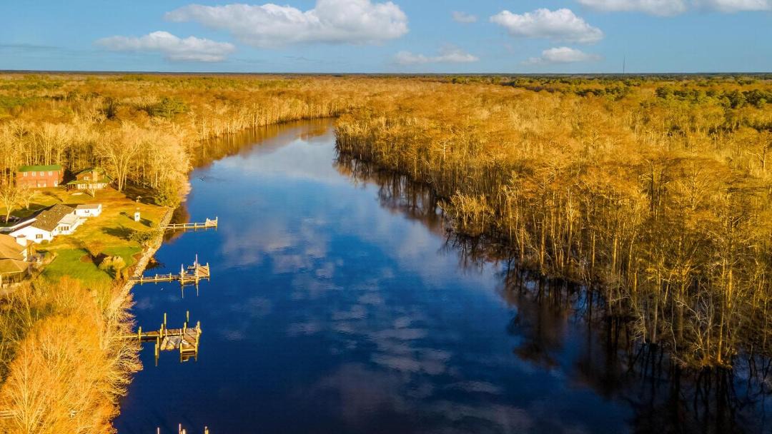 Photo of Others in Pocomoke City