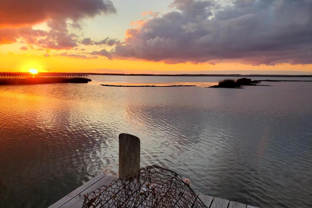 Photo of Others in Chincoteague