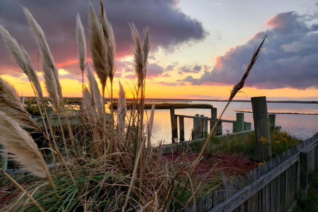 Photo of Others in Chincoteague