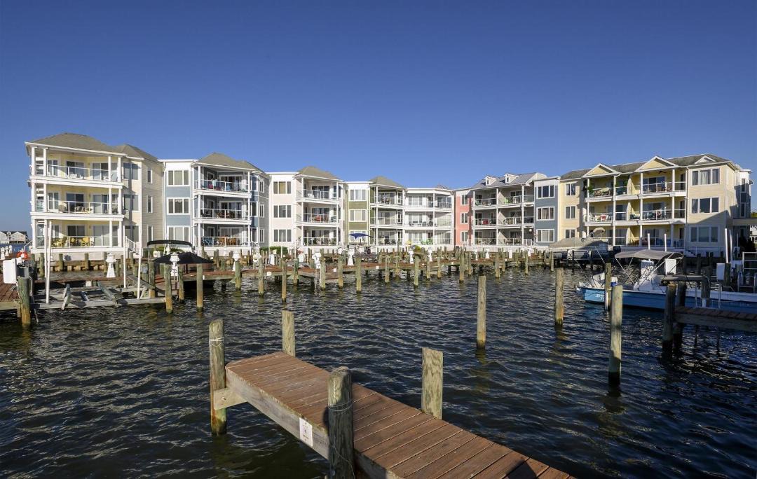 Photo of Others in Chincoteague