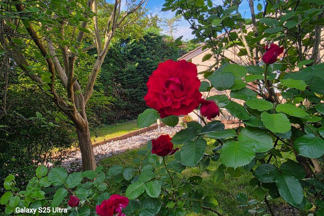 Photo of Outdoor in Lalande-Grand Selve