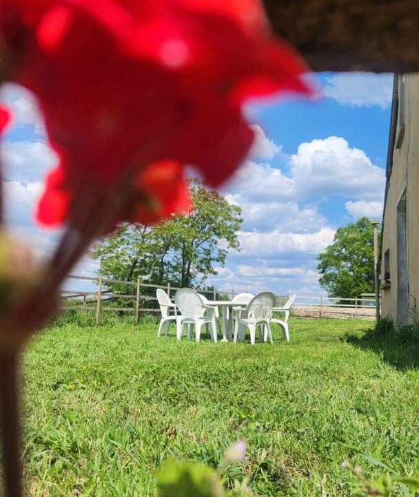 Photo of Others in Saint-Aubin-de-Locquenay