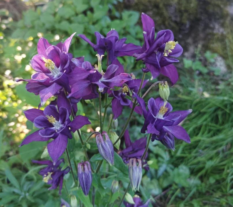 Photo of Outdoor in Saint-Aubin-de-Locquenay