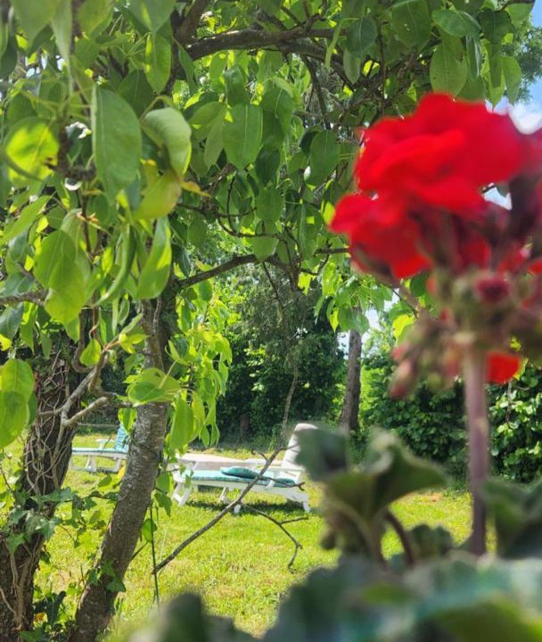 Photo of Others in Saint-Aubin-de-Locquenay