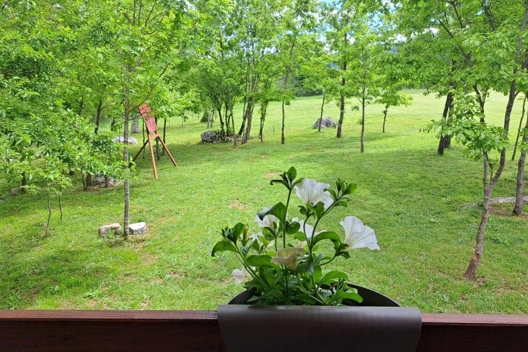 Photo of Others in Gracac