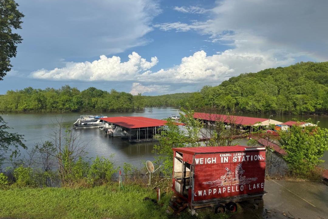 Photo of Others in Wappapello