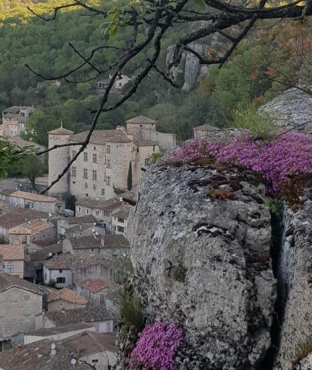 Photo of Others in Ucel