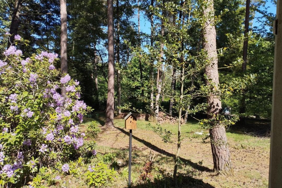 Photo of Others in Oize