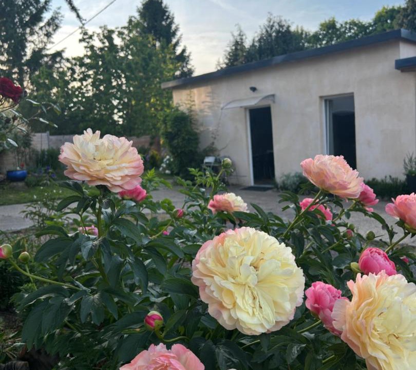 Photo of Others in Lisieux