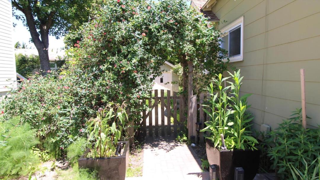 Photo of Others in Cape May Point