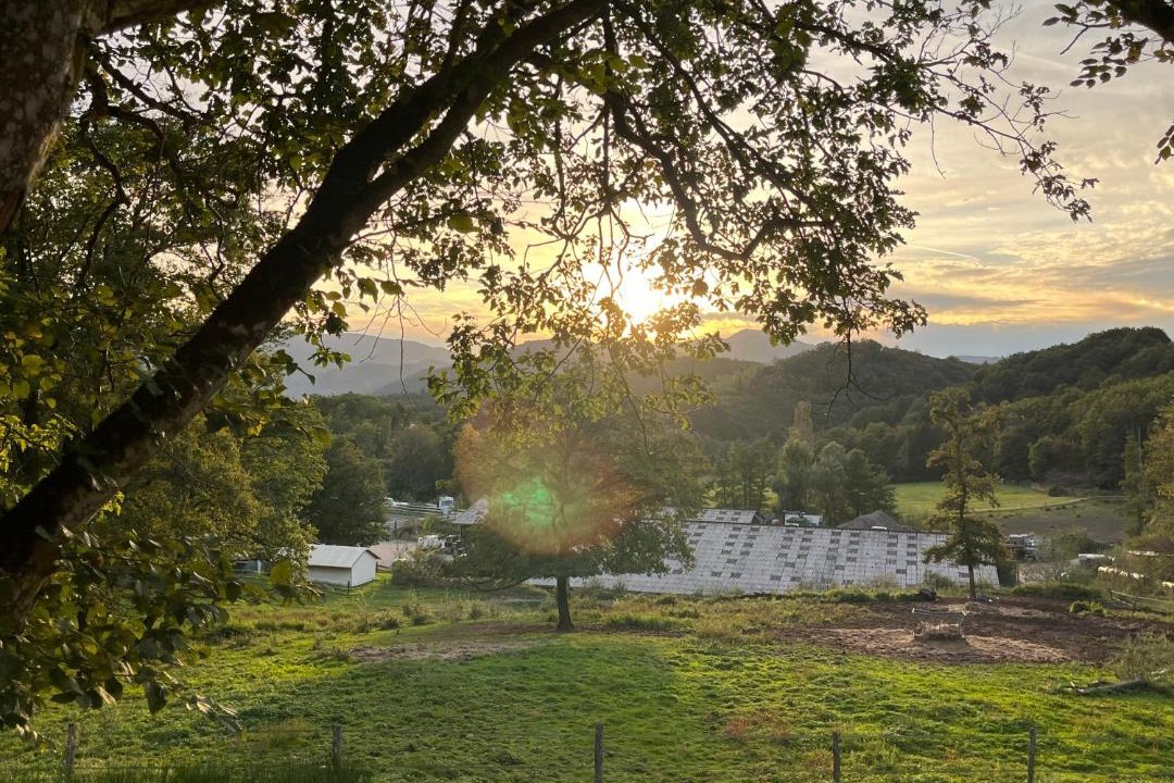 Photo of Others in Albe