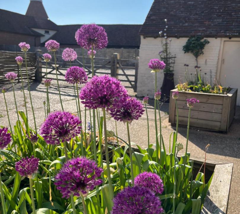 Photo of Others in Bilting