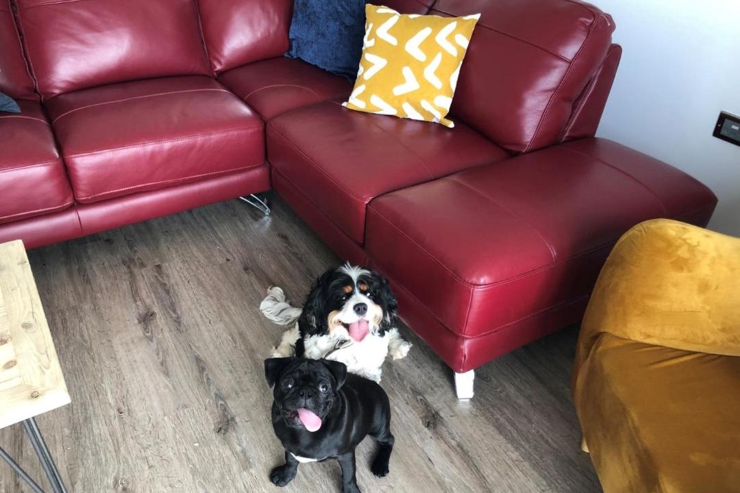 Photo of Livingroom in Westleigh